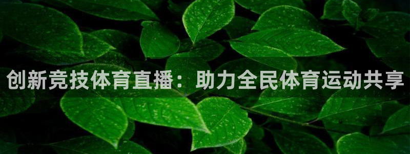 创新竞技体育直播：助力全民体育运动共享