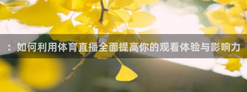：如何利用体育直播全面提高你的观看体验与影响力