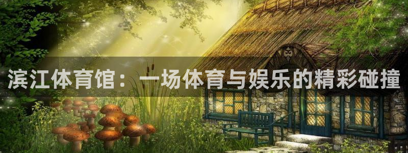 滨江体育馆：一场体育与娱乐的精彩碰撞