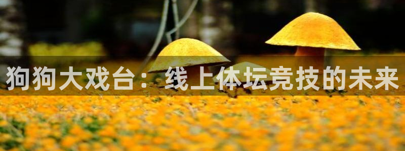 狗狗大戏台：线上体坛竞技的未来