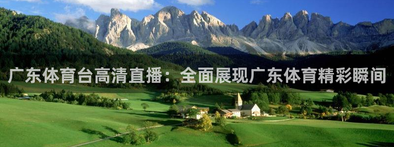 广东体育台高清直播：全面展现广东体育精彩瞬间